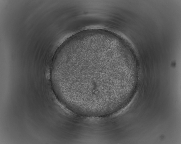 X0000094200929200711241634