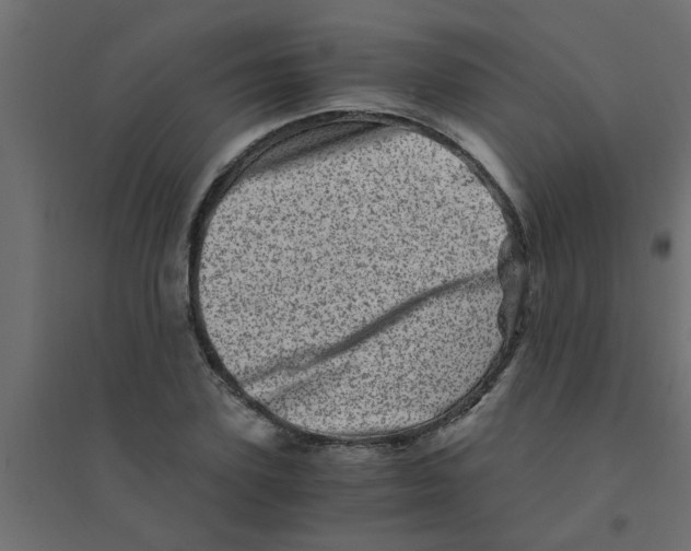 X0000094200931200711241634