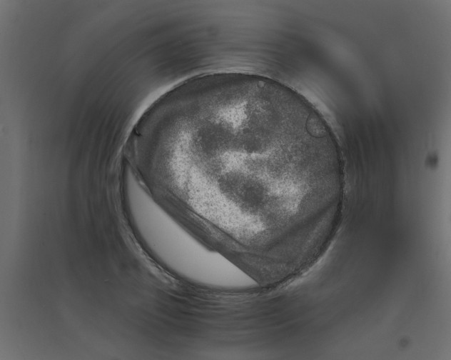 X0000094200933200711241634