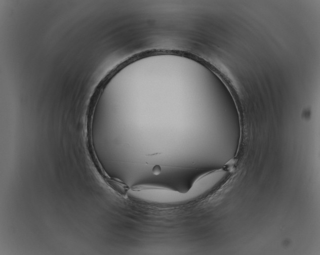 X0000094200935200711241634