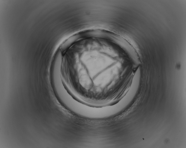 X0000094200936200711241634