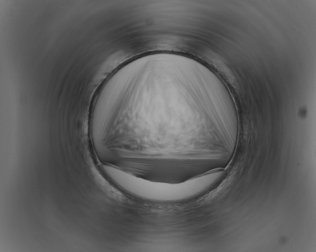 X0000094200938200711241634