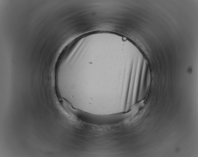 X0000094200939200711241634