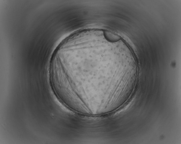 X0000094200941200711241634