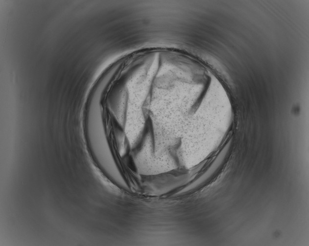 X0000094200942200711241634