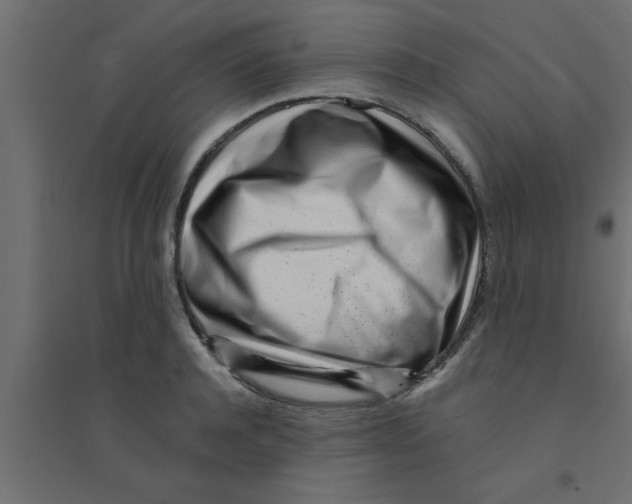 X0000094200944200711241634