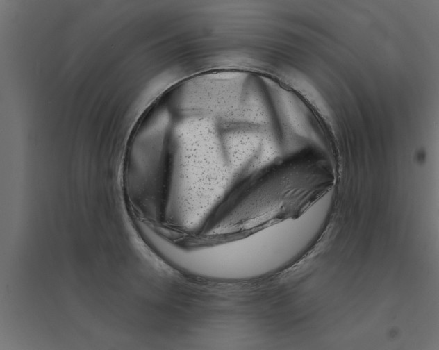 X0000094200946200711241634
