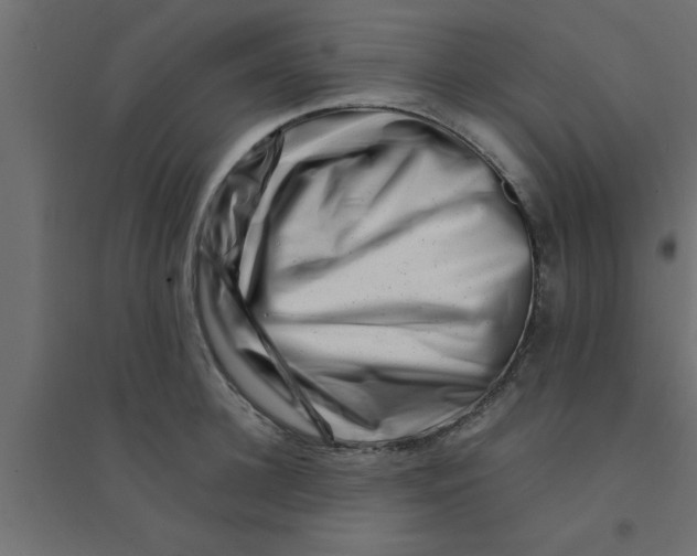 X0000094200948200711241634
