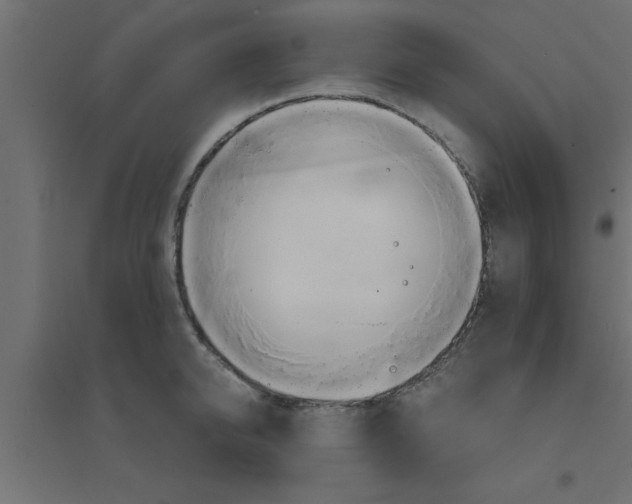 X0000094200950200711241634