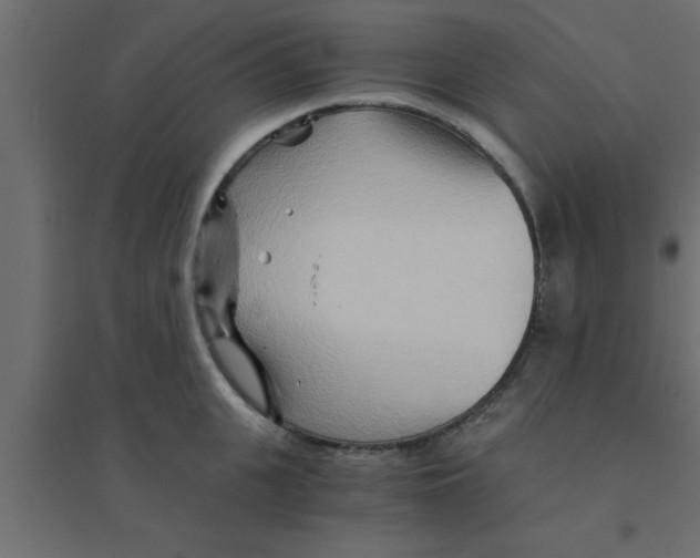 X0000094200951200711241634