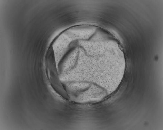 X0000094200952200711241634
