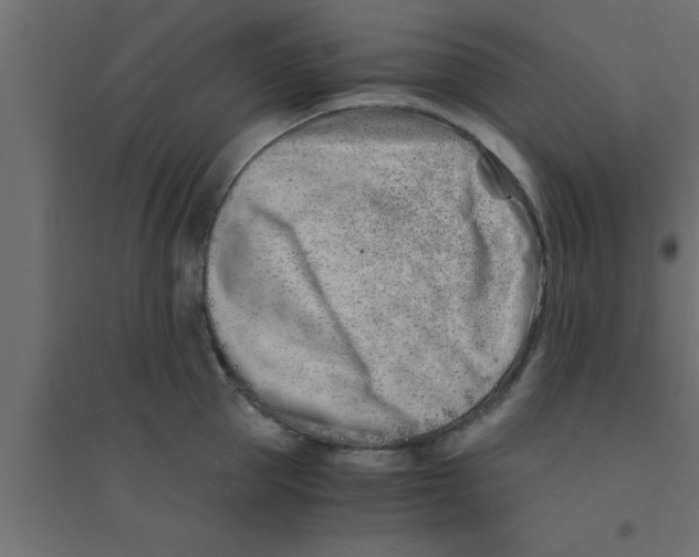 X0000094200953200711241634