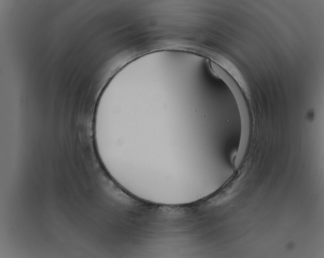 X0000094200954200711241634