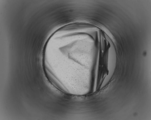 X0000094200955200711241634