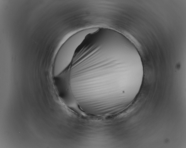 X0000094200956200711241634