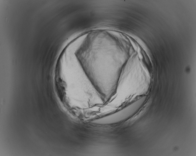 X0000094200957200711241634