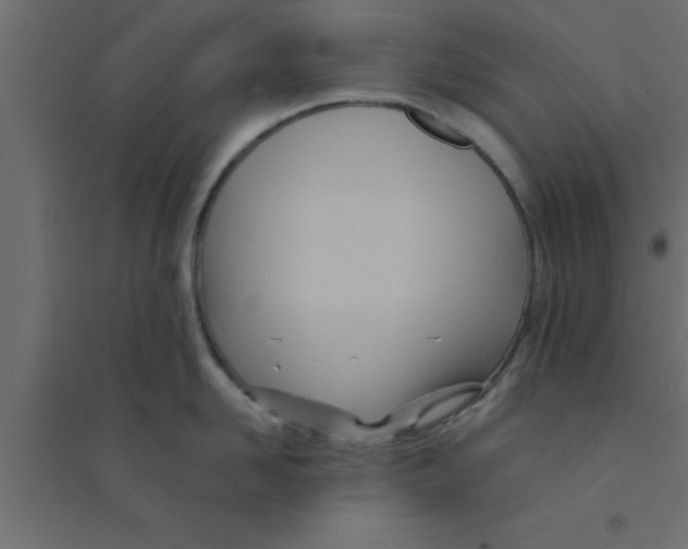 X0000094200958200711241634