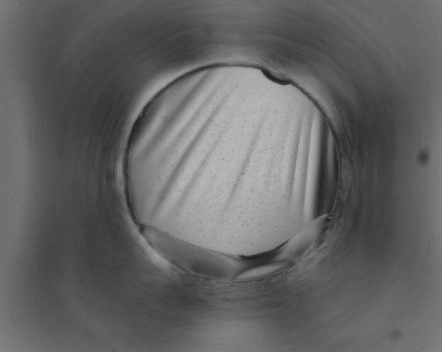 X0000094200959200711241634