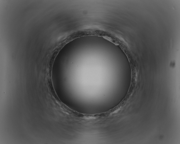 X0000094200965200711241634