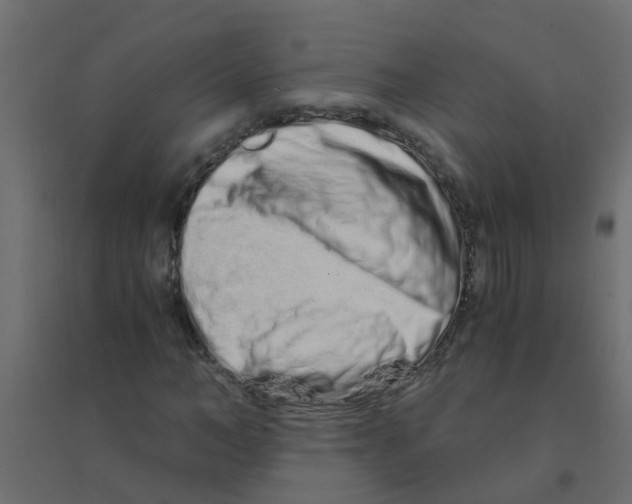 X0000094200966200711241633
