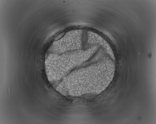 X0000094200967200711241633