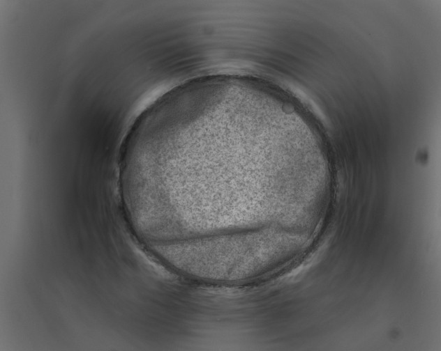 X0000094200970200711241633