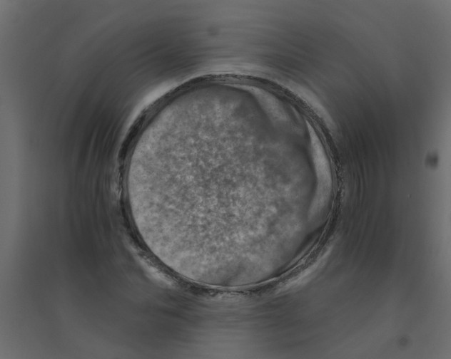 X0000094200974200711241633