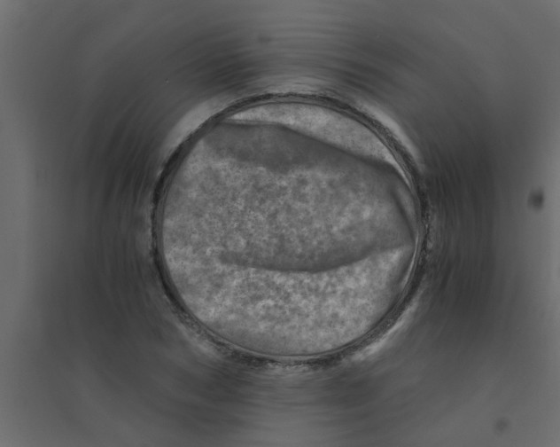 X0000094200978200711241633