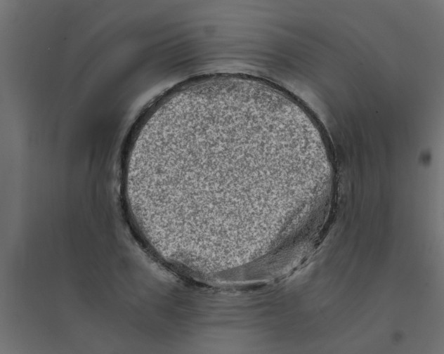 X0000094200979200711241633