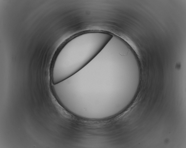 X0000094200980200711241633