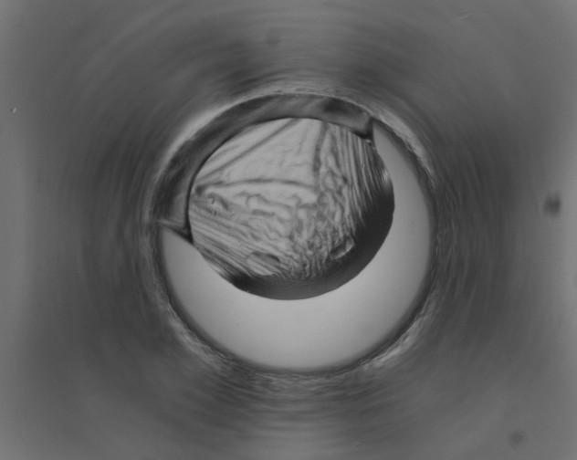 X0000094200981200711241633
