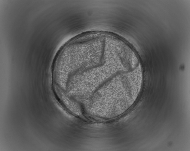 X0000094200982200711241633