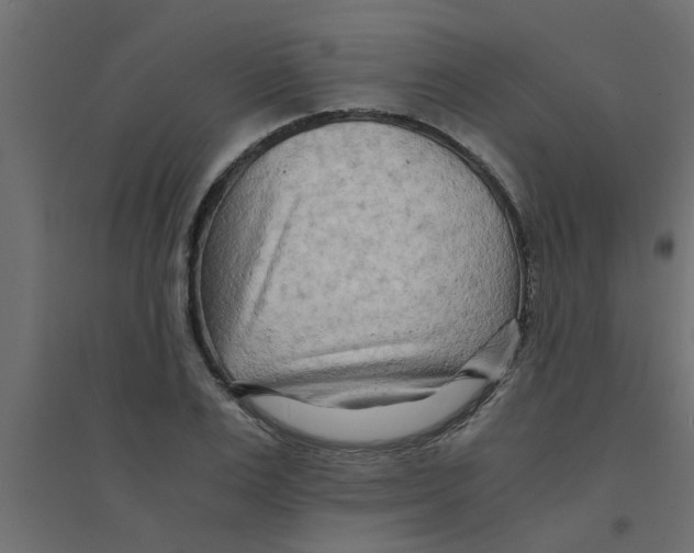 X0000094200983200711241633