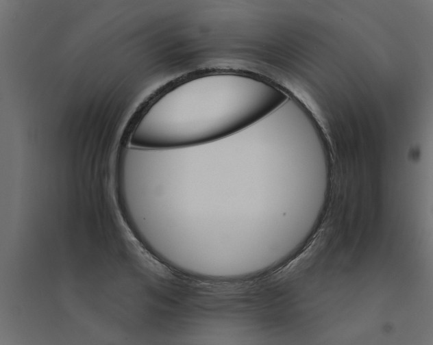 X0000094200984200711241633