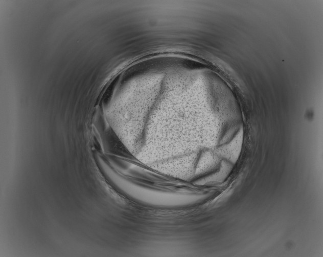 X0000094200985200711241633