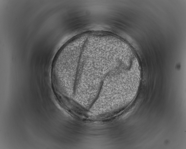 X0000094200986200711241633