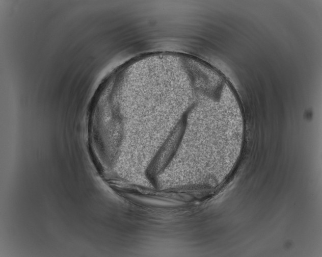 X0000094200987200711241633