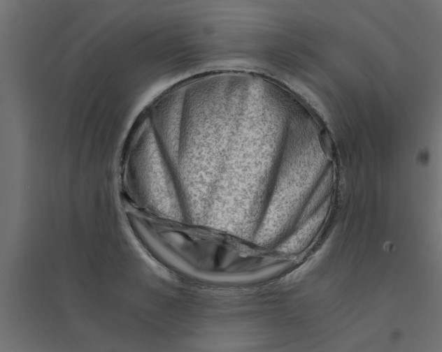 X0000094200989200711241633