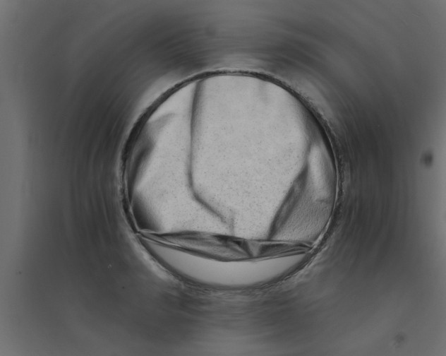 X0000094200990200711241633