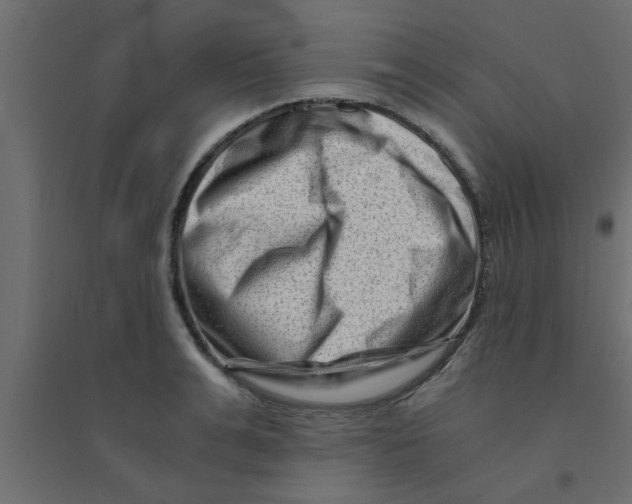 X0000094200991200711241633