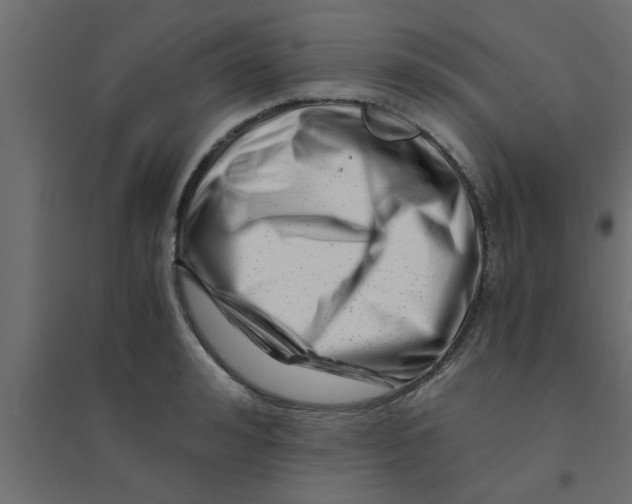 X0000094200992200711241633