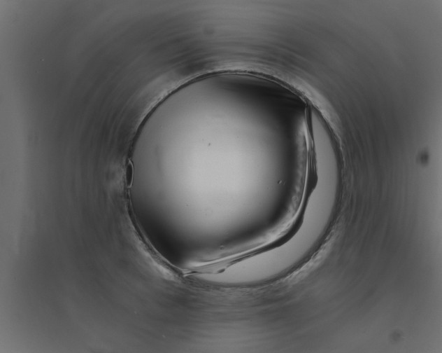 X0000094200993200711241633