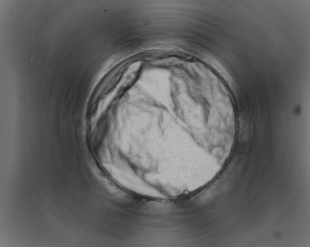 X0000094200994200711241633