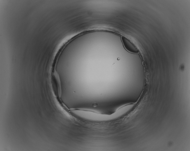 X0000094200995200711241633