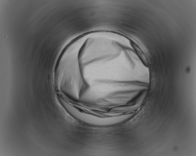 X0000094200996200711241633