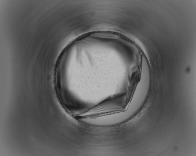X0000094200997200711241633