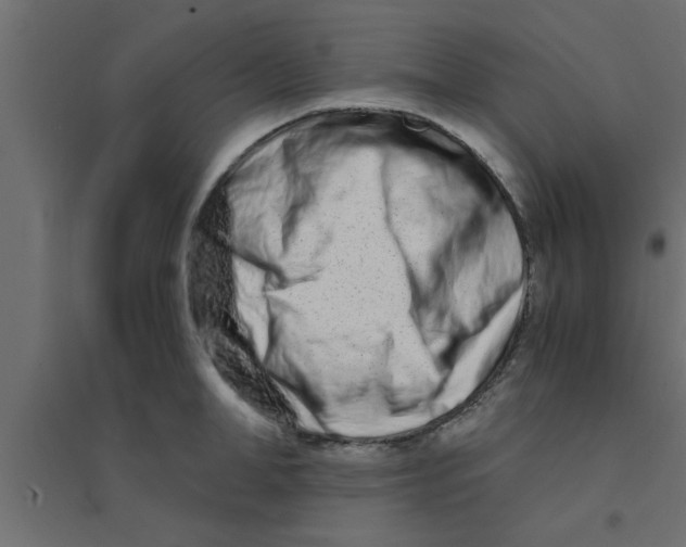 X0000094200998200711241633