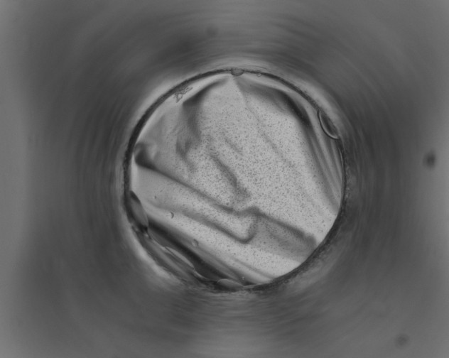 X0000094200999200711241633
