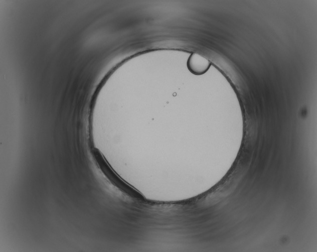 X0000094201000200711241633