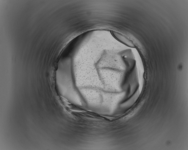 X0000094201001200711241633